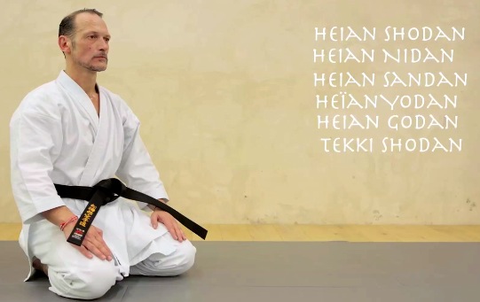 Kata Karate Shotokan par Eric Delannoy en vidÃ©o